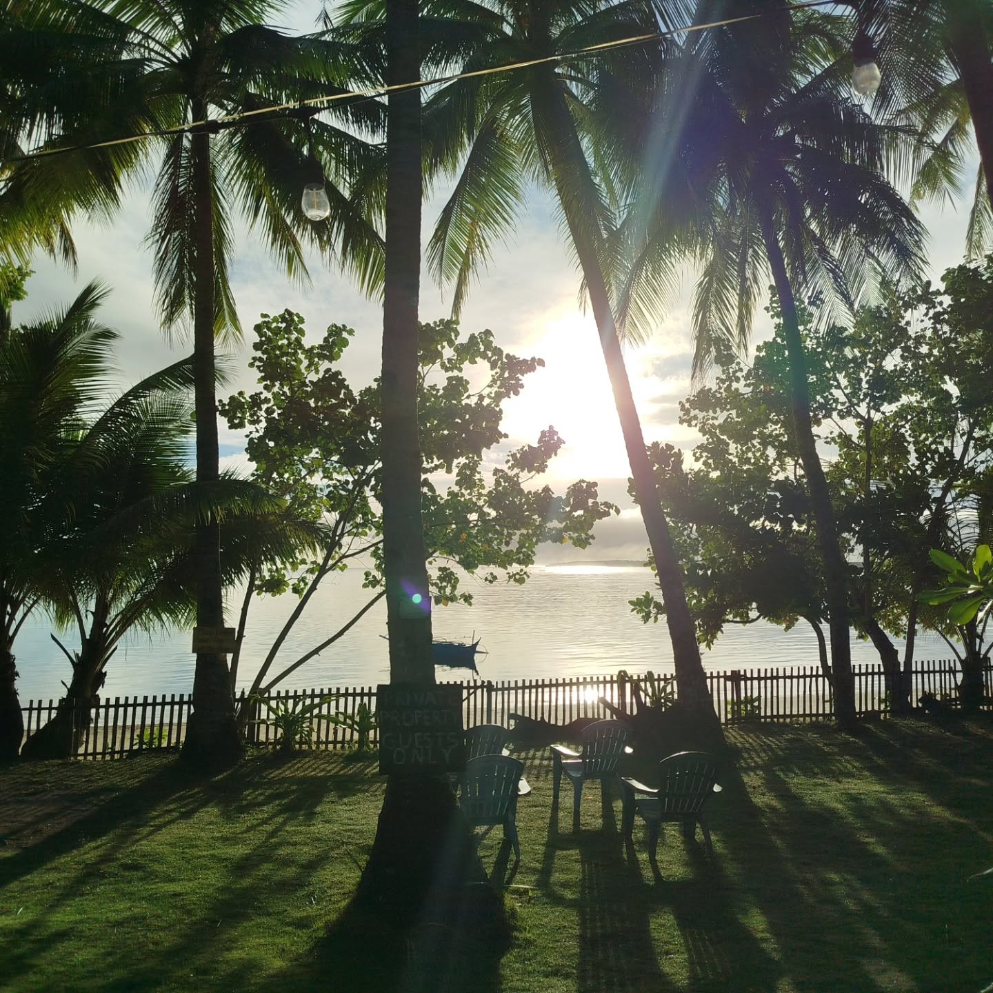 Palm trees surrounding a tropical island stay